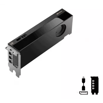 PNY RTX PRO 4000 Czarnywell NVIDIA 24 GB GDDR7