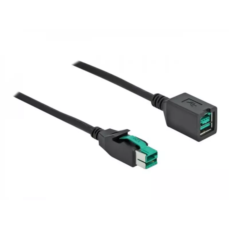 Przedłużacz USB z zasilaniem DeLOCK 85980 12 V 1 m