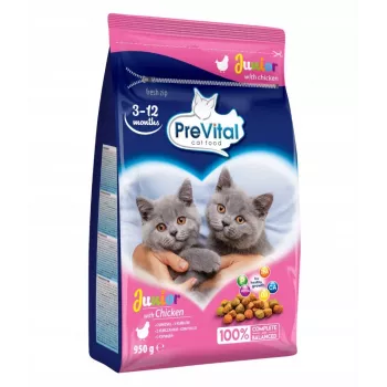 Sucha karma dla kota PREVITAL Junior Chicken 950 g — sucha karma dla kociąt, 35% białka, 12% tłuszczu