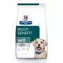 HILL'S Prescription Diet w/d Digestive Waga Diabetes Management - sucha karma dla psa - 10 kg