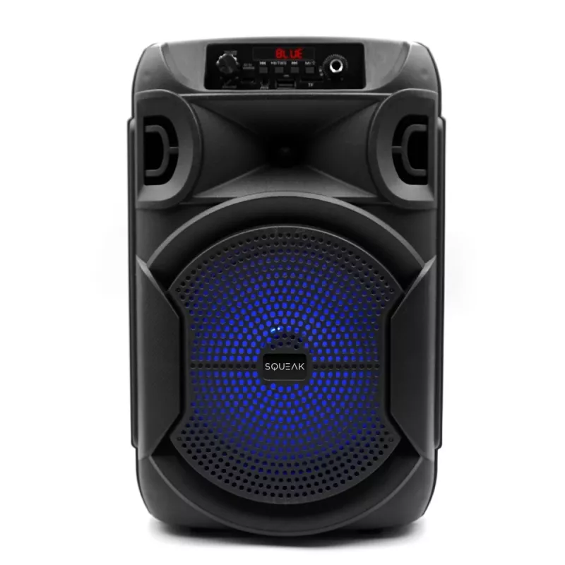 GŁOŚNIK BLUETOOTH 5.3 E DR PULSETOWER SQ1006