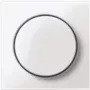 MERTEN Zentralplatte MEG5250-0319 Thermoplast polar-ws mit Drehknopf MEG52 MEG5250-0319 (MEG5250-0319)