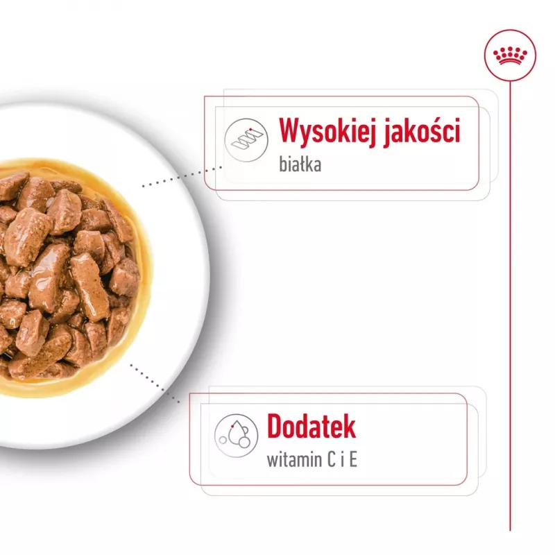 ROYAL CANIN SHN Medium Adult w sosie - mokra karma dla dorosłych psów - 10x140g