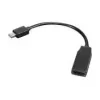 Lenovo 0B47089 adapter kabla wideo 0,2 m Mini DisplayPort HDMI Czarny