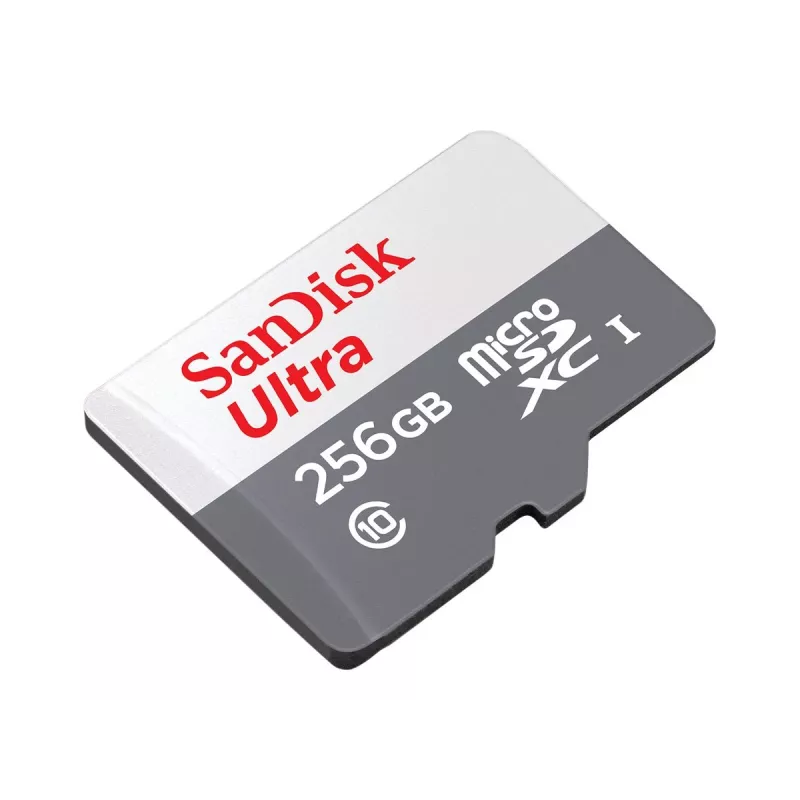 Pamięć flash SanDisk 256 GB MicroSDXC UHS-I SDSQUNR-256G-GN6TA