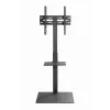 Stojak podłogowy pod telewizor GEMBIRD TVS-55T-02 dla telewizorów 32–55 cali, stal, wysokość 600 mm, VESA 100x100–400x400, maks. obciążenie 35 kg
