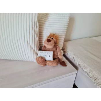 czujnik tlenku węgla i czadu K10LLCO Kidde