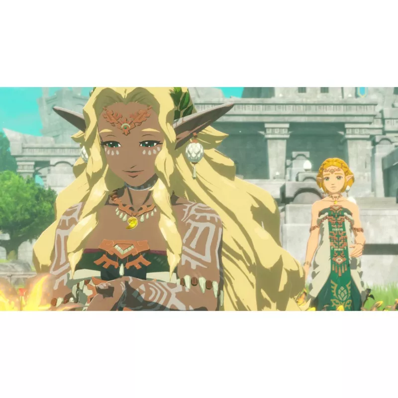 Nintendo Hyrule Warriors Chronik der Versiegelung | (10016192)