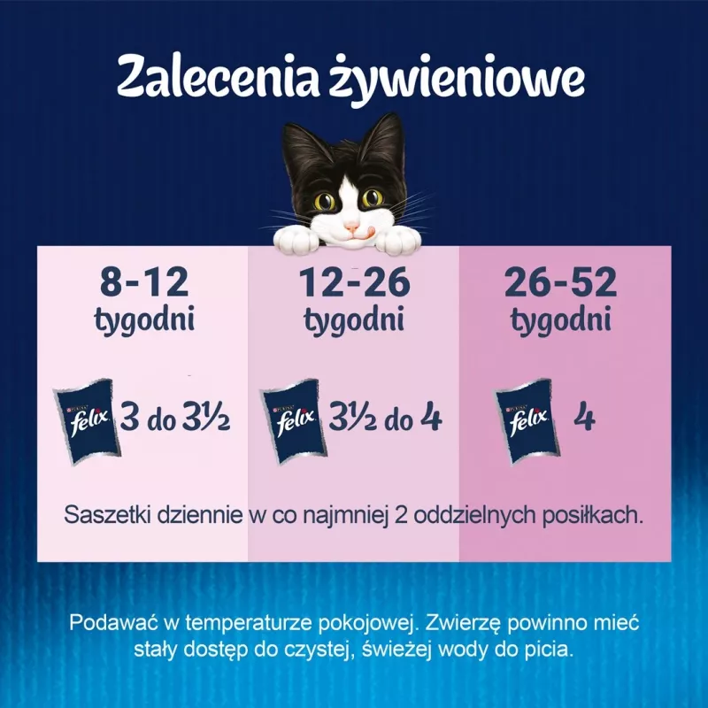 Mokra karma dla kotów Purina Nestlé Felix Fantastic Junior 85 g saszetka — kurczak, 77,5% wilgotności, 13,5% białka