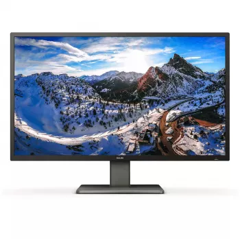 Monitor komputerowy Philips P Line 439P1/00 108 cm (42,5 cala) 3840 x 2160 pikseli 4K Ultra HD LCD Czarny