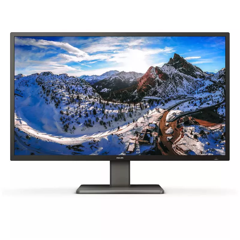 Monitor komputerowy Philips P Line 439P1/00 108 cm (42,5 cala) 3840 x 2160 pikseli 4K Ultra HD LCD Czarny