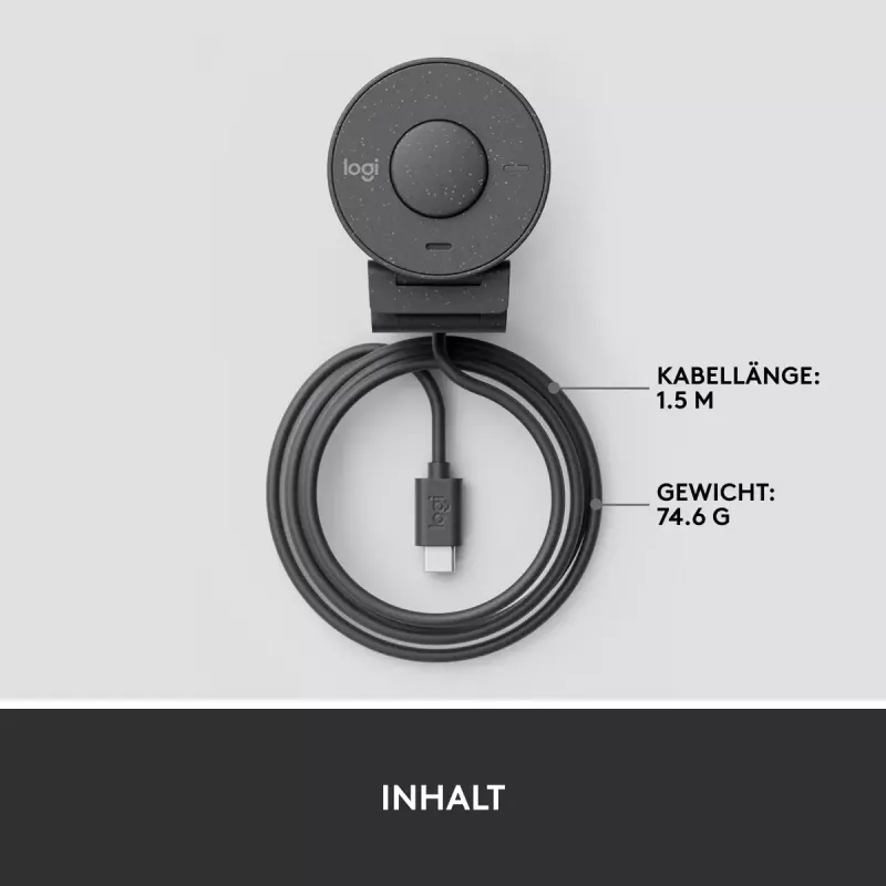 LOGITECH Brio 300 Full HD Webcam - Grafit