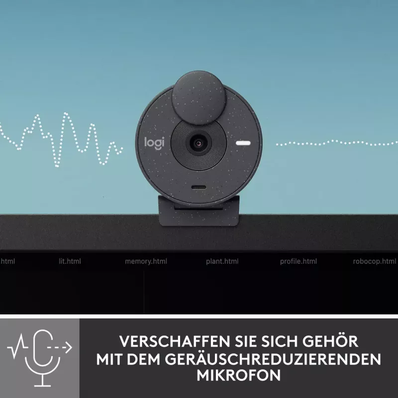 LOGITECH Brio 300 Full HD Webcam - Grafit
