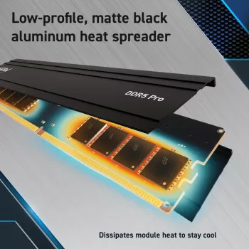 Crucial Pro - DDR5 - Modul - 48 GB - DIMM 288-PIN Low Profile