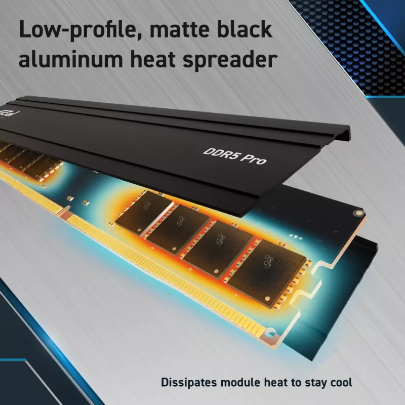 Crucial Pro - DDR5 - Modul - 48 GB - DIMM 288-PIN Low Profile