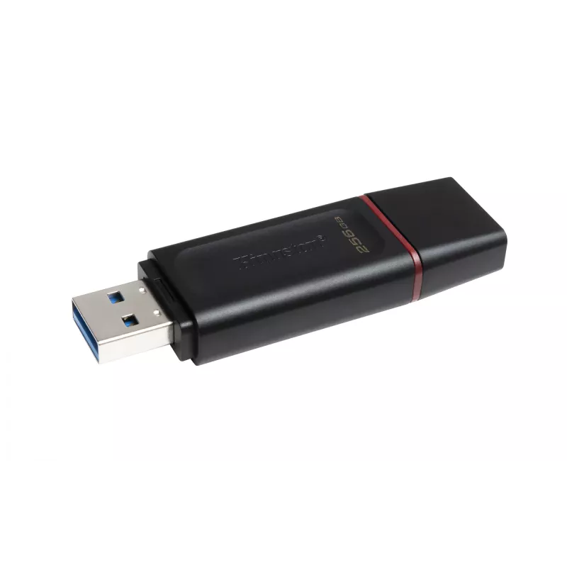 Kingston Technology DataTraveler Exodia - Pamięć USB 3.2 Flash Drive