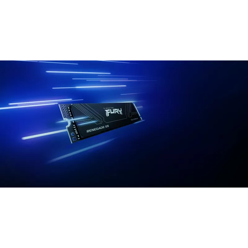 Dysk SSD Kingston Technology 1TB M.2 NVMe FURY RENEGADE G5