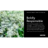 Oryginalny wkład Xerox Genuine ® C230 Color Printer/C235 Color Multifunction Printer magenta High capacity kaseta z tonerem (2500 stron) - 006R04393