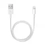 APPLE Lightning do USB kabel (0.5 M)