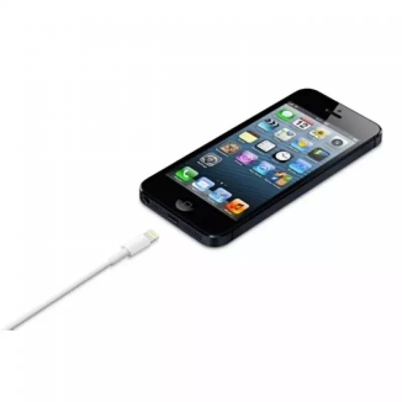 APPLE Lightning do USB kabel (0.5 M)