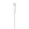 APPLE Lightning do USB kabel (0.5 M)