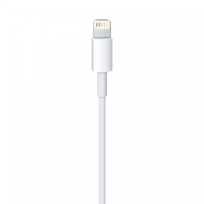 APPLE Lightning do USB kabel (0.5 M)