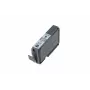 Canon PGI-9GY szara kaseta z tuszem, szara, Tusz pigmentowy, 1 szt., 145 stron
