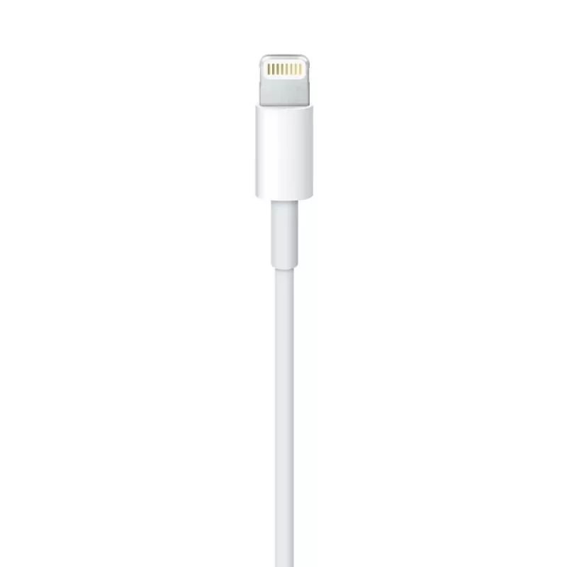 Kabel Apple Lightning do USB 2 m MD819ZM/A