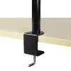 ARCTIC Z1 Basic - Ramię do monitora z mocowaniem biurkowym, zacisk, 8 kg, 33 cm (13 cali), 81,3 cm (32 cale), 100 x 100 mm, czarny
