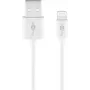 Goobay kabel do ładowania i synchronizacji USB Lightning 2 m Lightning USB A