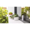 Cyfrowa stacja pogodowa Netatmo NWS01-EC, aluminium, bateria/USB, Wi-Fi