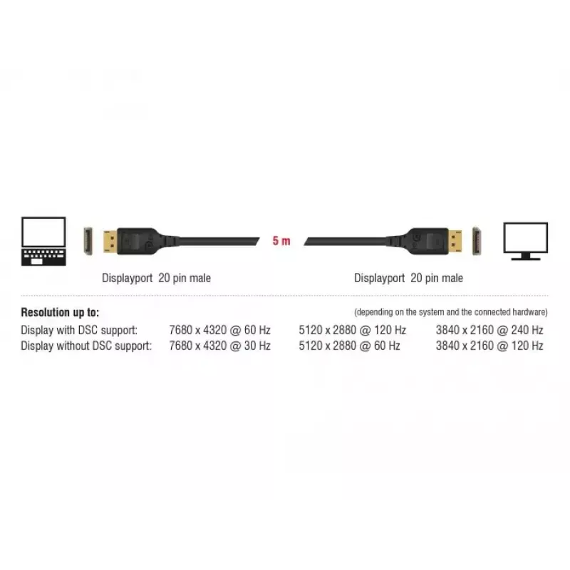 Kabel DisplayPort DeLOCK 85663 5 m Czarny