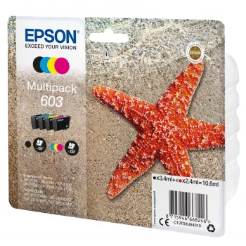 Epson C13T03U64010 kartridż z tuszem 1 szt. Oryginalny Standardowa wydajność Czarny, Cyjan, Magenta, Żółty