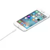 APPLE USB-a do Ligthning kabel 1 m (mxly2zm/a)