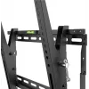 Wentronic Pro TILT (XL) 2,54 m (100 cali) Czarny uchwyt TV 70 kg
