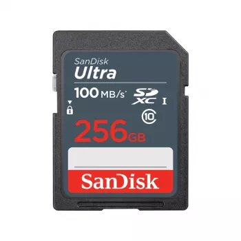 Pamięć Flash SanDisk 256 GB SDXC UHS-I Klasa 10 SDSDUNR-256G-GN3IN