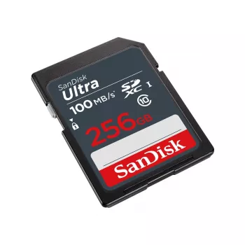 Pamięć Flash SanDisk 256 GB SDXC UHS-I Klasa 10 SDSDUNR-256G-GN3IN