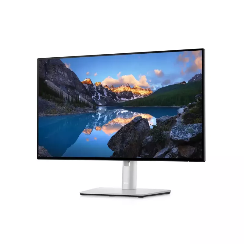 Monitor DELL UltraSharp 24 U2422H 23,8 cala Full HD LCD 1920x1080