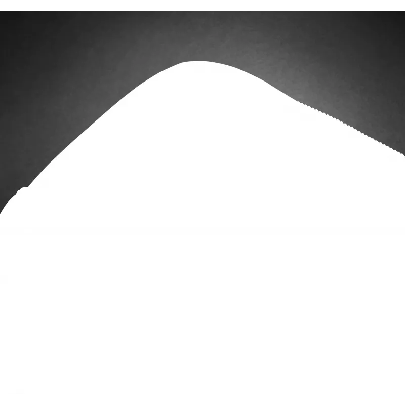 Torba na laptopa HP Professional 15.6 cala aktówka monochromatyczna