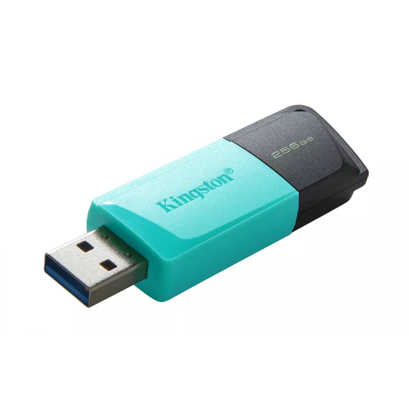 Kingston Technology DataTraveler 256GB USB3.2 Gen1 Exodia M (czarny + turkusowy)