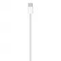 APPLE USB-c kabel do ładowania (1 m)