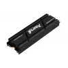 Kingston Technology 1000G RENEGADE PCIe 4.0 NVMe SSD Z RADIATOREM