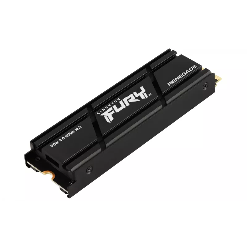 Kingston Technology 1000G RENEGADE PCIe 4.0 NVMe SSD Z RADIATOREM