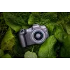 Canon EOS R8 + RF 24-50mm F4.5-6.3 IS STM Kit, 24,2 MP, 6000 x 4000 pikseli, CMOS, 4K Ultra HD, Ekran dotykowy, Czarny