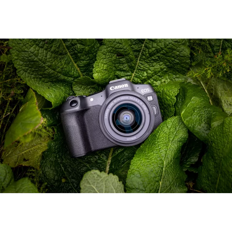 Canon EOS R8 + RF 24-50mm F4.5-6.3 IS STM Kit, 24,2 MP, 6000 x 4000 pikseli, CMOS, 4K Ultra HD, Ekran dotykowy, Czarny