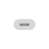 APPLE Adapter Lightning – 24pin USB-c męski do Lightning żeńskiego