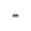 APPLE Adapter Lightning – 24pin USB-c męski do Lightning żeńskiego