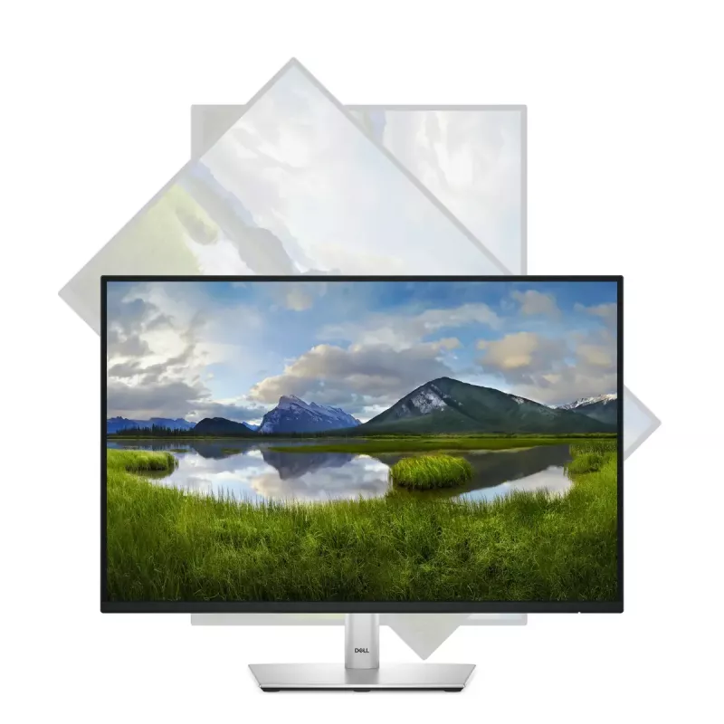 Monitor komputerowy DELL Pro Plus P2425 61,1 cm (24,1 cala) 1920 x 1200 pikseli WUXGA LCD Czarny