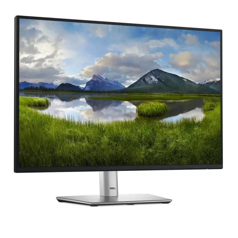 Monitor komputerowy DELL Pro Plus P2425 61,1 cm (24,1 cala) 1920 x 1200 pikseli WUXGA LCD Czarny