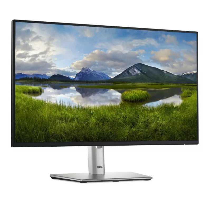 Monitor komputerowy DELL Pro Plus P2425H 60,5 cm (23,8 cala) 1920 x 1080 pikseli Full HD LCD Czarny